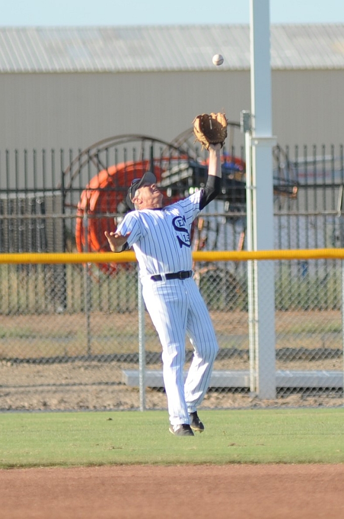 Seals_2019-08-23 (344).JPG - (c)2010 DeVetter